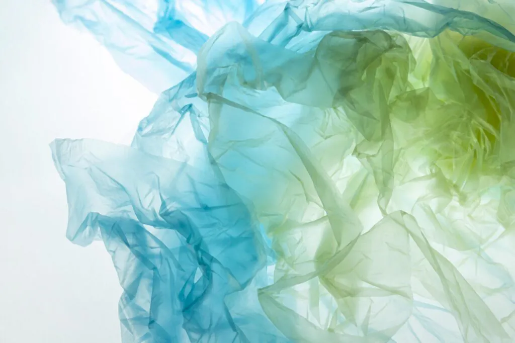 ViSS at the BIO4PACK Cluster Workshop to advance sustainable packaging innovation