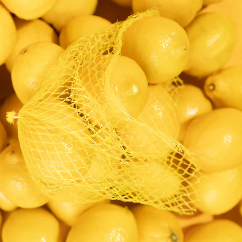 From lemon waste to bioplastic: new research on Haloferax mediterranei highlights PHBV potential