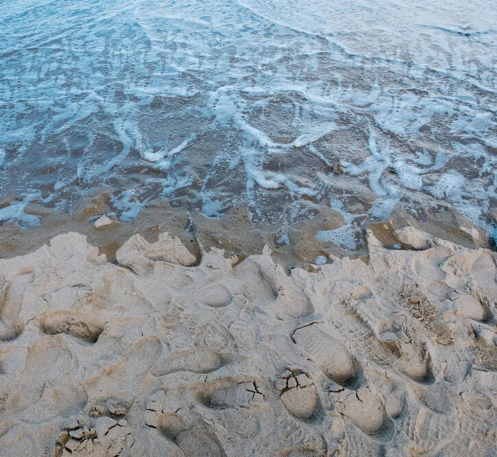 Plastic degradation at sea: the role of microbial diversity in marine sediments