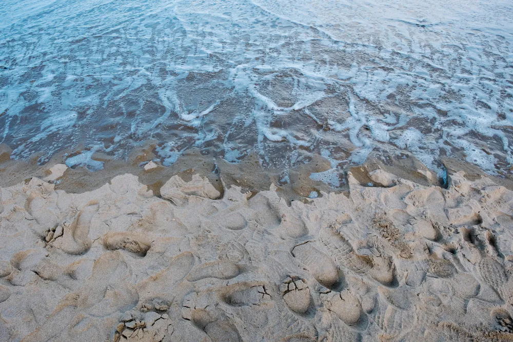 Plastic degradation at sea: the role of microbial diversity in marine sediments